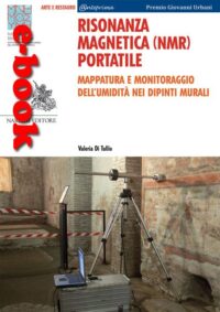 Risonanza magnetica (NMR) portatile. Mappatura e monitoraggio dell’umidità nei dipinti murali