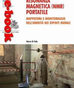 Risonanza magnetica (NMR) portatile. Mappatura e monitoraggio dell’umidità nei dipinti murali