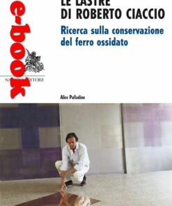 Le lastre di Roberto Ciaccio Ricerca sulla conservazione del ferro ossidato Nardini Editore