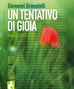 Un tentativo di gioia. Poesie 2017-2020 - Giovanni Granatelli - Nardini Editore
