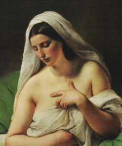 francesco hayez odalisca