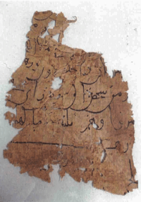 Il papiro P. Vindob. A. P. 9081. Restauro, digitalizzazione e catalogazione on-line