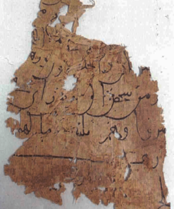 Il papiro P. Vindob. A. P. 9081. Restauro, digitalizzazione e catalogazione on-line