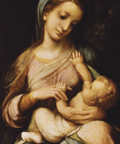 Materiali e tecnica in alcuni dipinti del Correggio