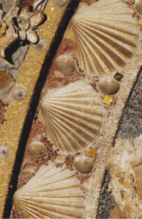 ninfeo palazzo sacchetti roma