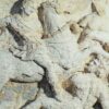 Le urne etrusche dipinte e dorate di Perugia: studio e restauro