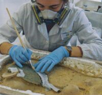 Una metodologia di microscavo e di documentazione al servizio della conservazione