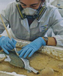 Una metodologia di microscavo e di documentazione al servizio della conservazione