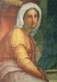 https://www.nardinieditore.it/wp-content/uploads/woocommerce_uploads/2022/09/kermes-73-visitazione-del-pontormo-nel-chiostro-dei-voti-della-ss-annunziata-urydpp.pdf