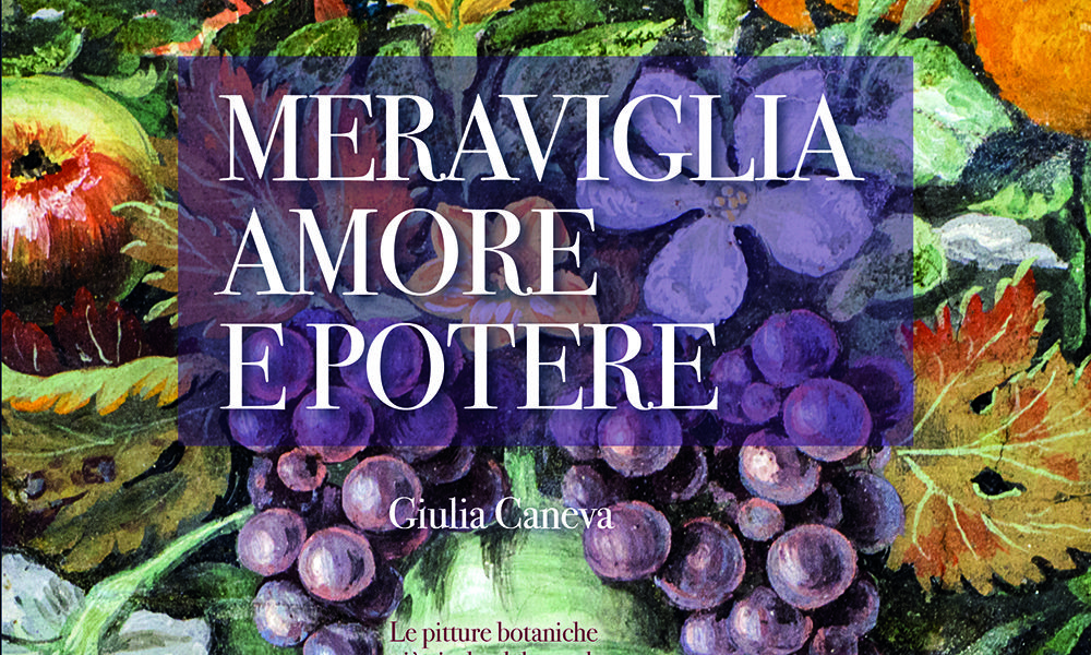 e meraviglie botaniche di Raffaello e Giovanni da Udine della Farnesina. Roma, 20 gennaio 2023