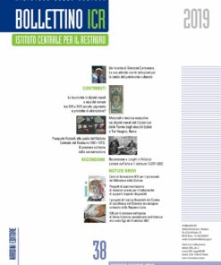 Bollettino ICR 38