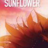 Sunflower romanzo