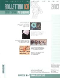 Bollettino ICR 06-07