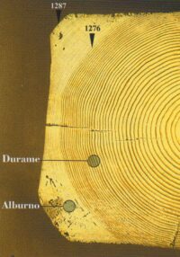 Dendrocronologia e architettura